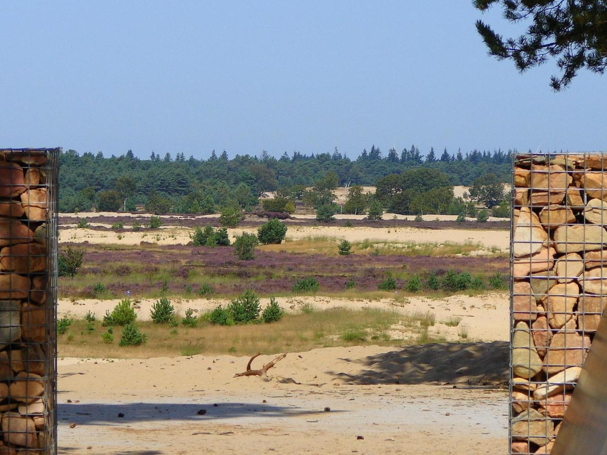 Chalet Near The Loonse And Drunense Duinen Udenhout ภายนอก รูปภาพ