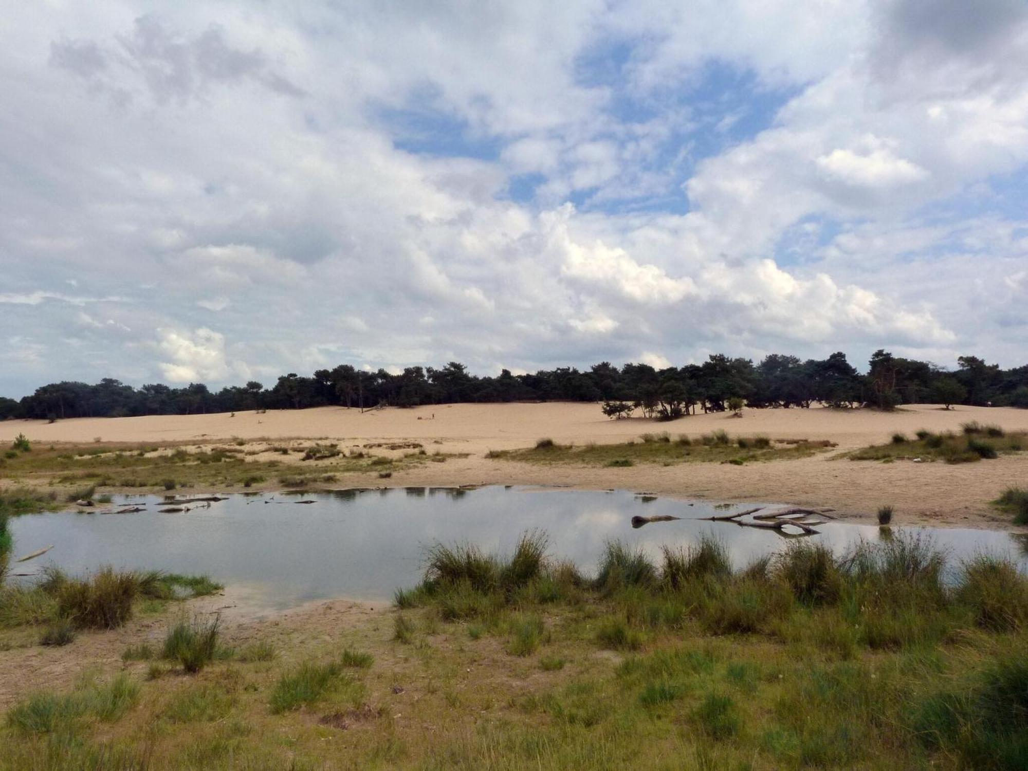 Chalet Near The Loonse And Drunense Duinen Udenhout ภายนอก รูปภาพ