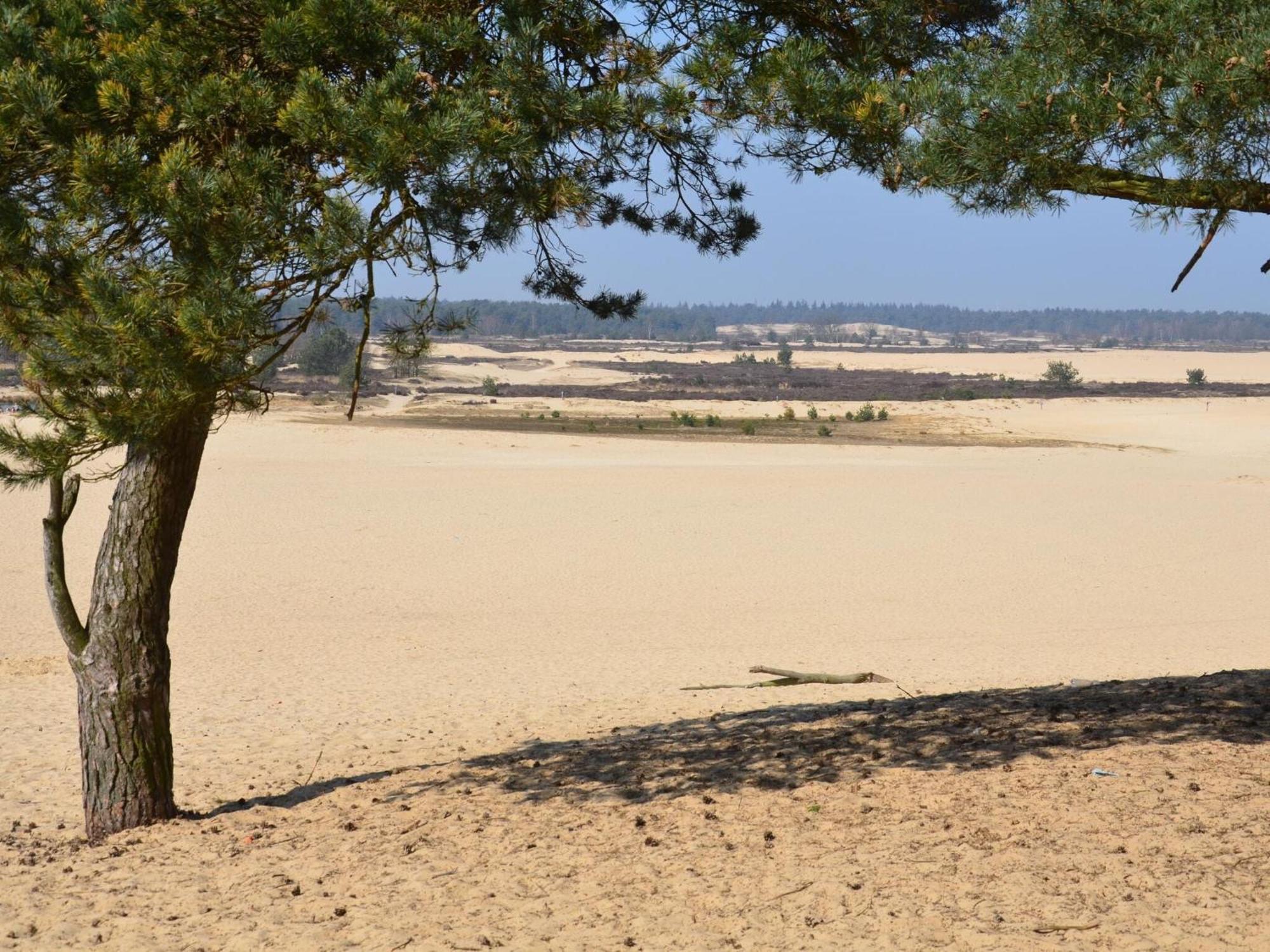 Chalet Near The Loonse And Drunense Duinen Udenhout ภายนอก รูปภาพ